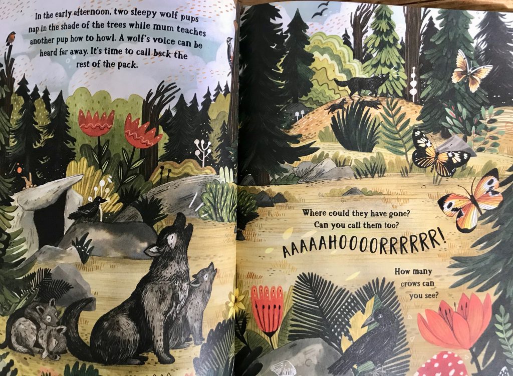 Kid's Book Review The Secret Forest Books Up North