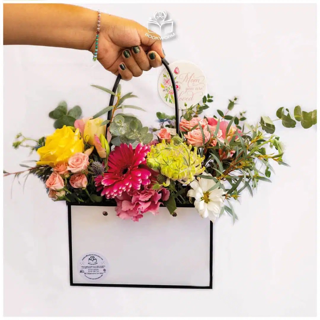 Home Bookworm Los Cabos