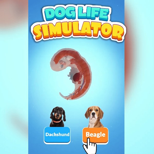 Dog Life Simulator BoomBit