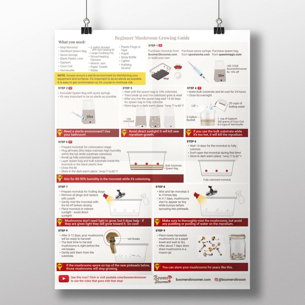 Beginner Mushroom Growing Guide Boomer Shroomer