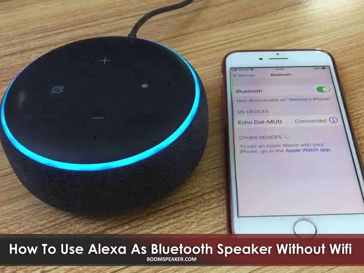 How To Use Alexa As a Bluetooth Speaker Without Wifi BoomSpeaker