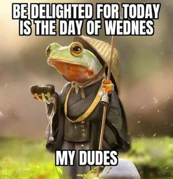 Wednesday funny Pinterest