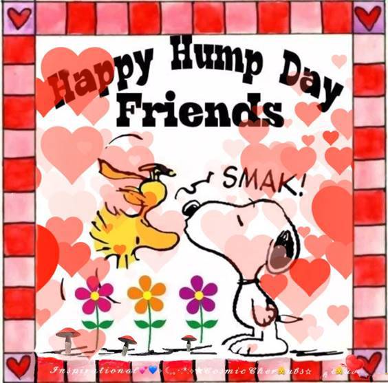 Wednesday humor Pinterest