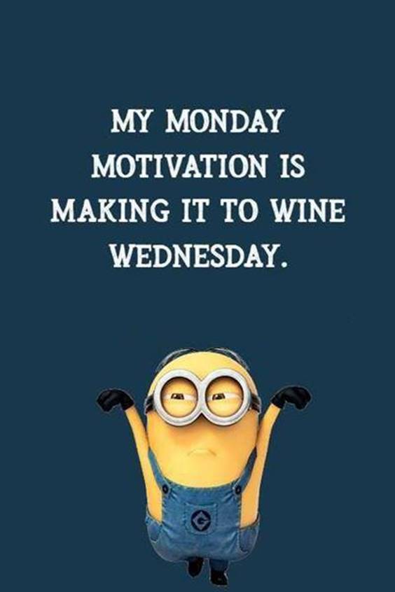 Funny Wednesday Memes to Brighten Your Week Pinterest
