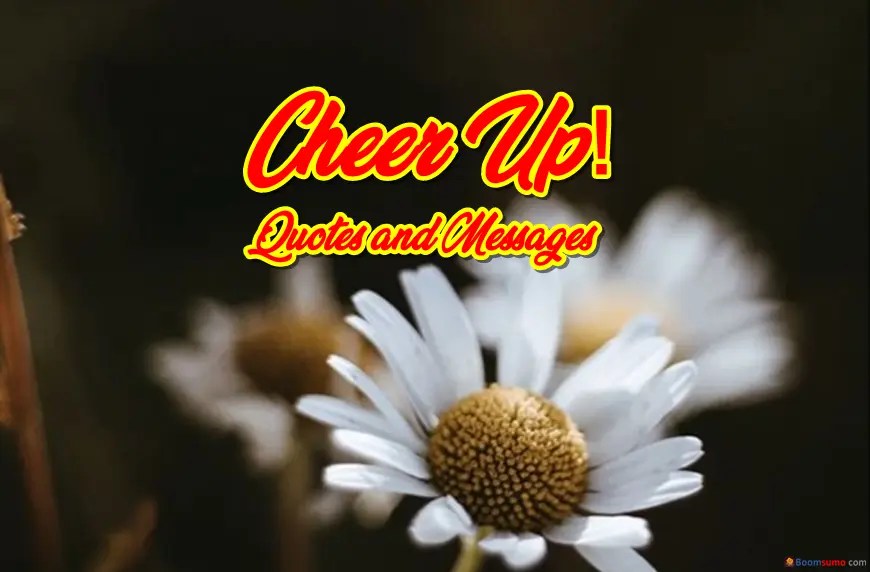 45 Cheer Up Quotes and Messages BoomSumo