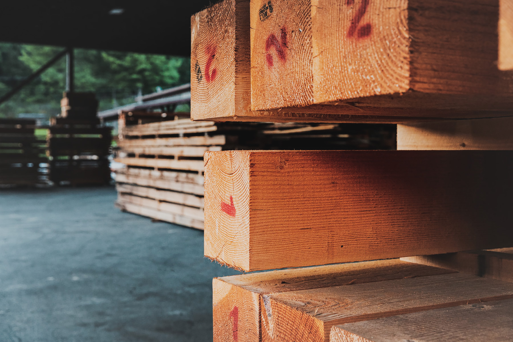 Boone Lumber Company & Our Process of Providing Quality Timbers