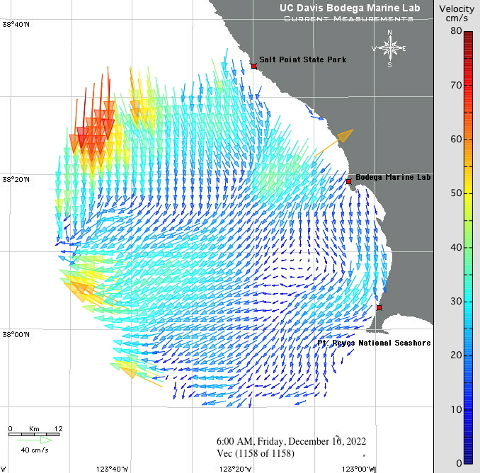 Sea Surface Current Observations Bodega Ocean Observing Node