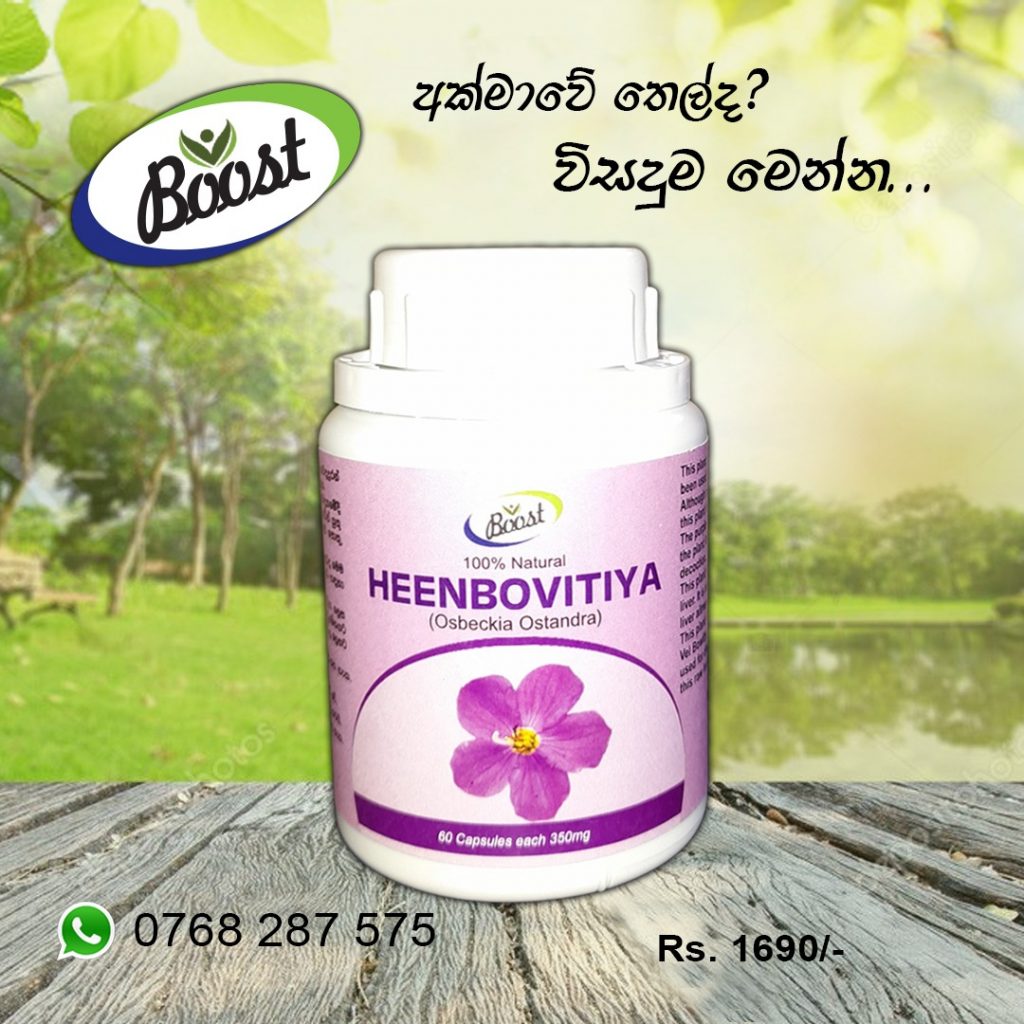 HEENBOWITIYA (OSBECKIA OCTANDRA)DEHYDRATED POWDERFatty liver Control