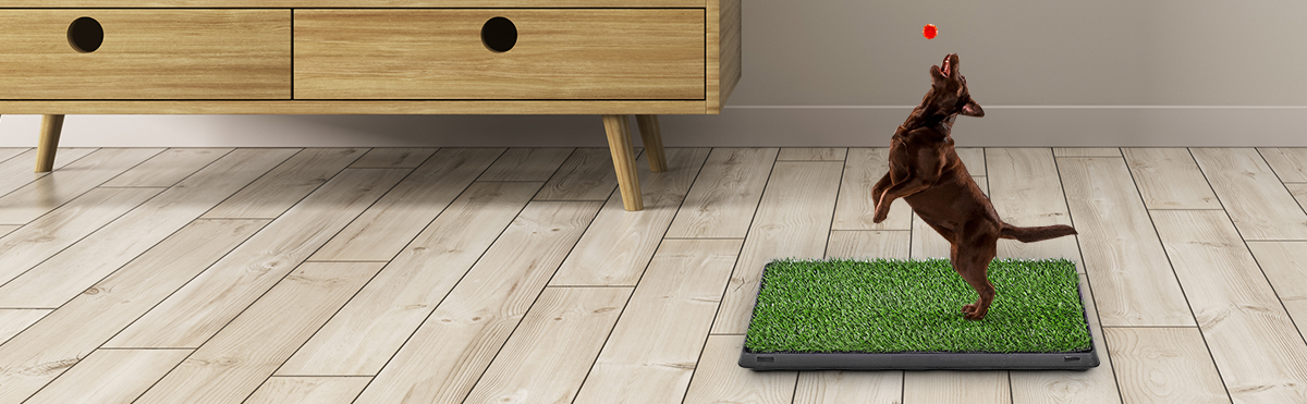 Goplus Toilette Portable pour Chien et Animaux Domestiques à Pelouse