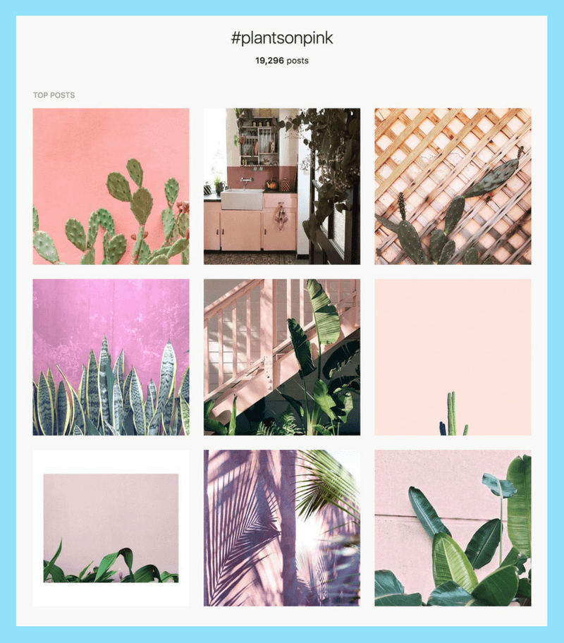 Trending Instagram Hashtags 4 Ways to Get Your Post Featured Boostly