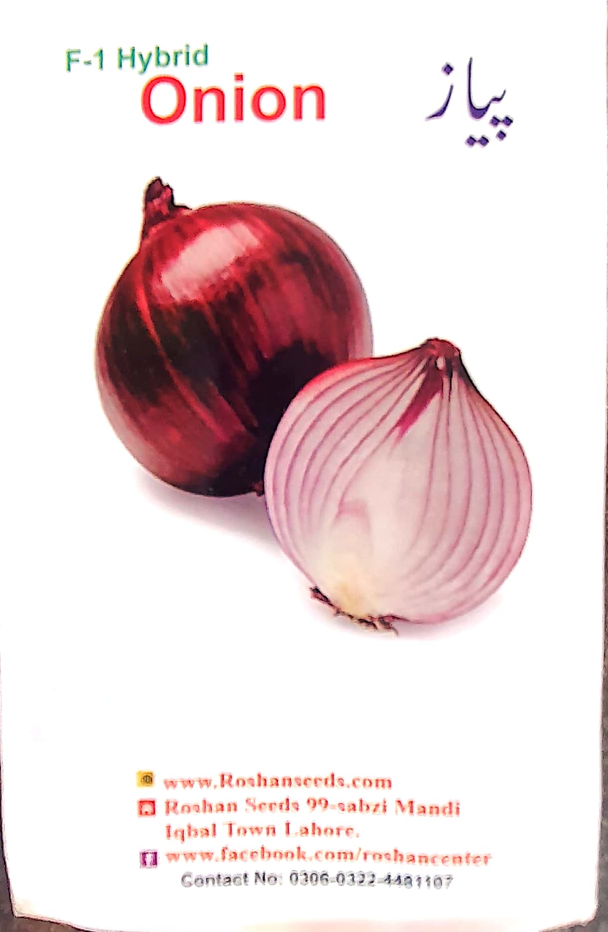 Onion Seeds