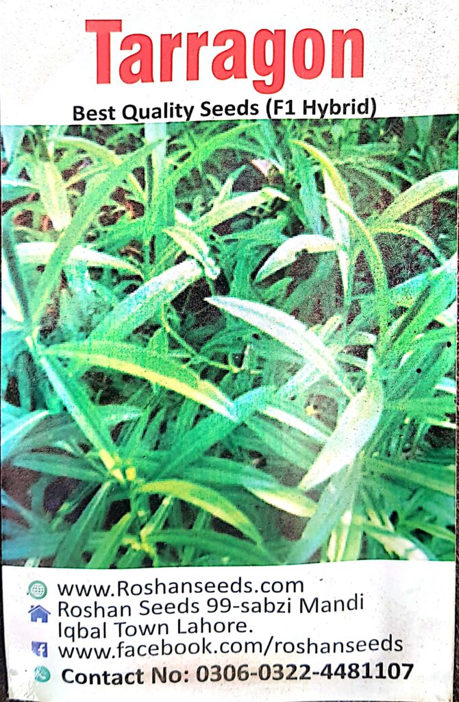 Tarragon Seeds Boota.pk
