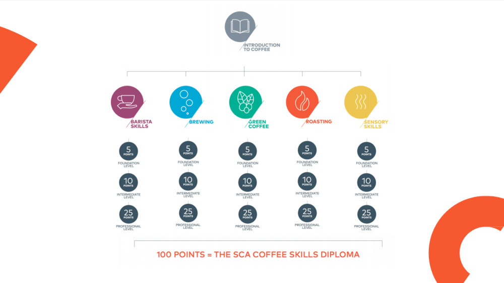 SCA Coffee Skills Program at Boot Coffee Campus Boot Coffee