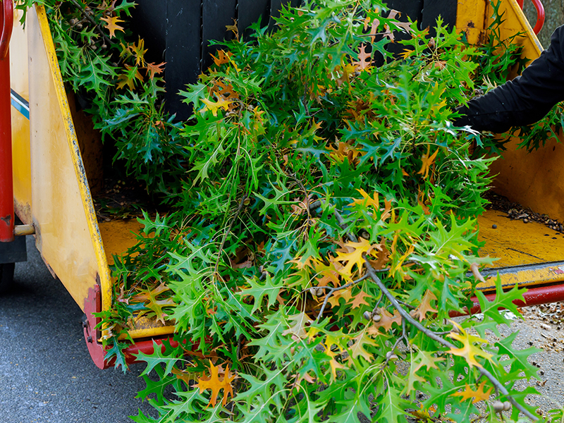 Brush Clearing & Land Clearing Chester County PA