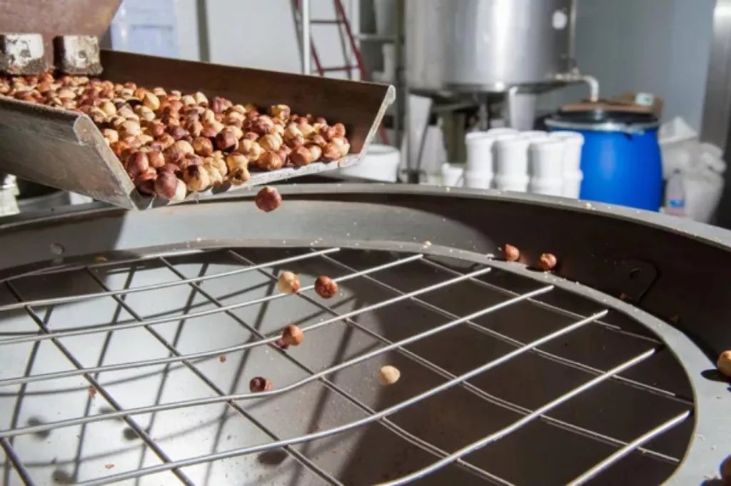 The Top 10 Largest Producer of Hazelnuts 🐝