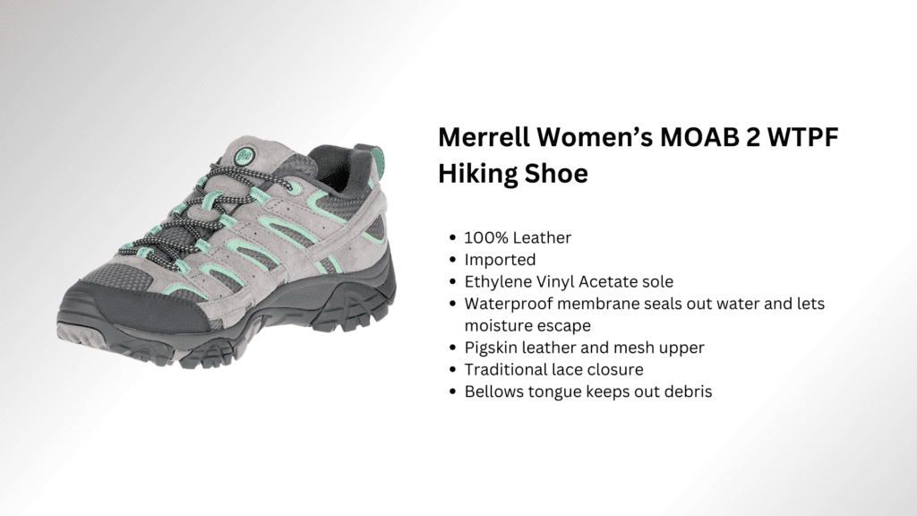 Best Shoes For Hiking Sand Dunes 2024