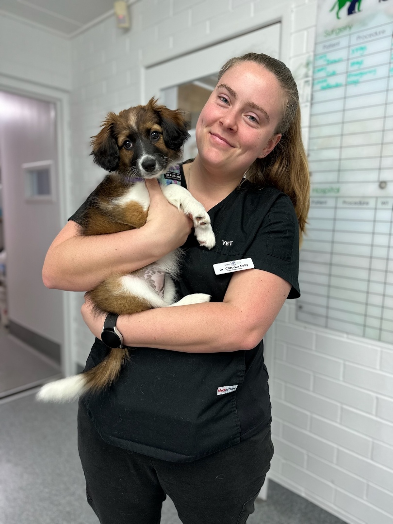 Dr. Claudia Kelly Vet Ipswich caring for local pets Booval Vet