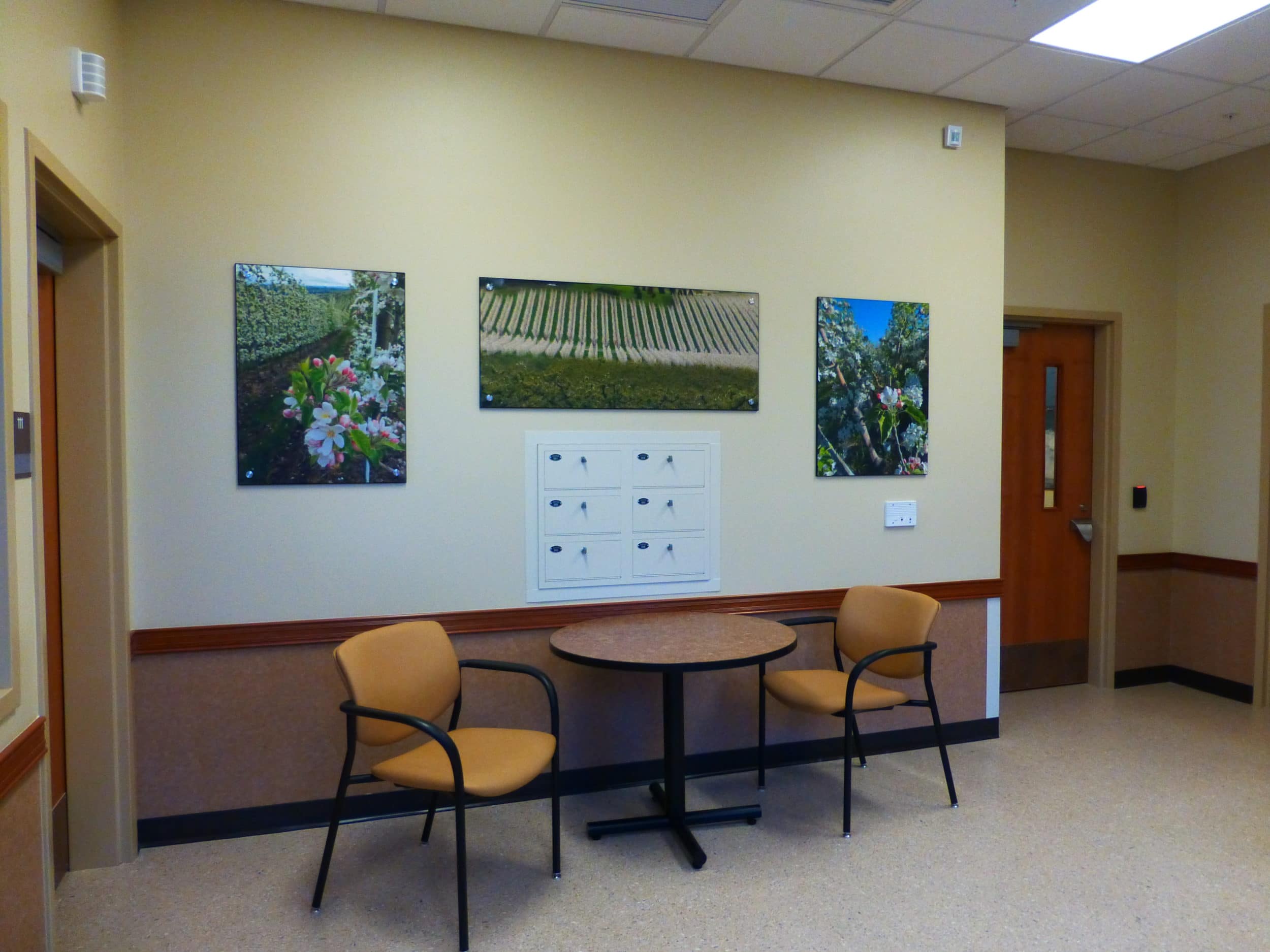 Bridges Evaluation & Treatment Center BORARCH