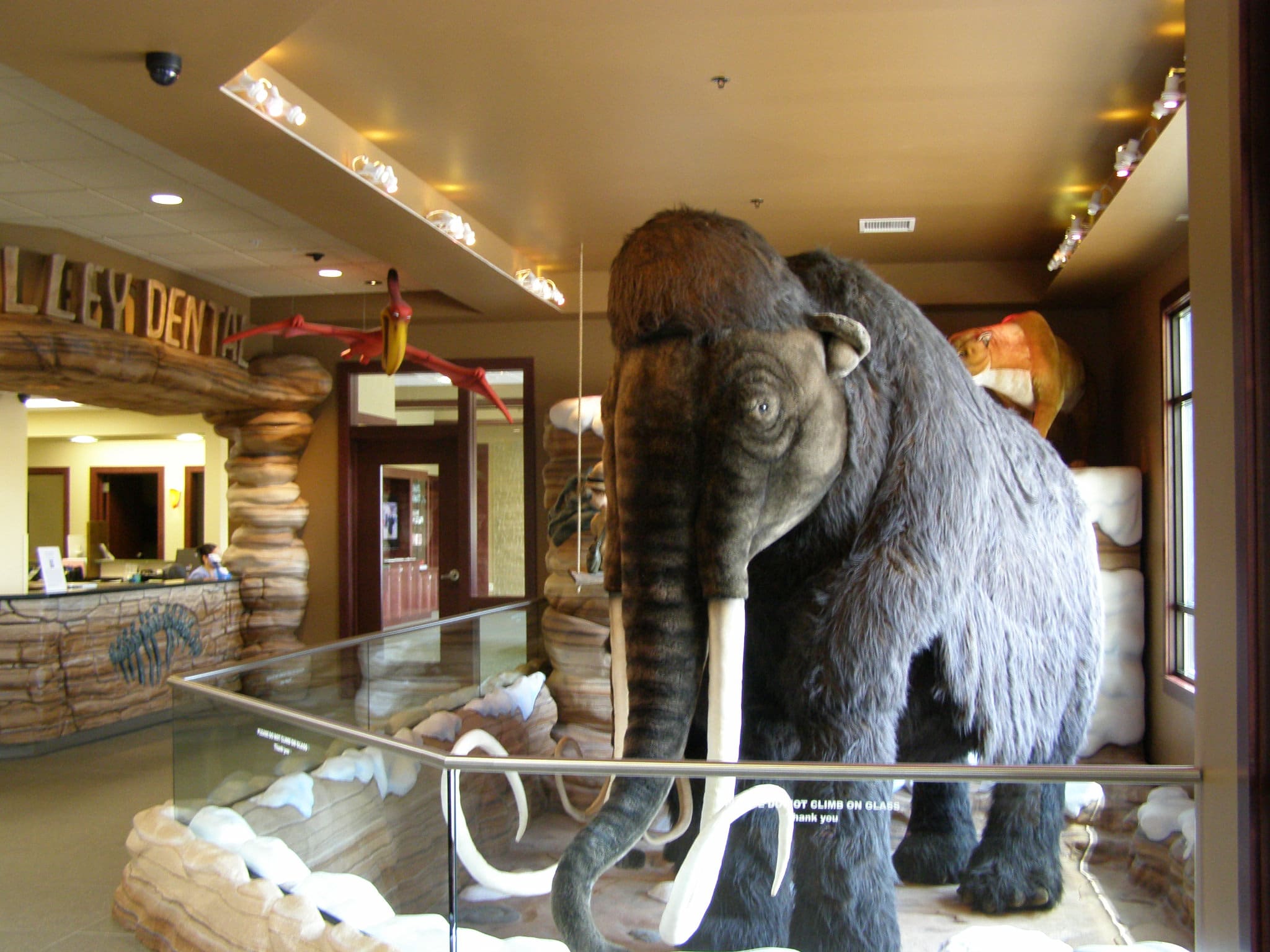 Apple Valley Dental & Braces BORARCH