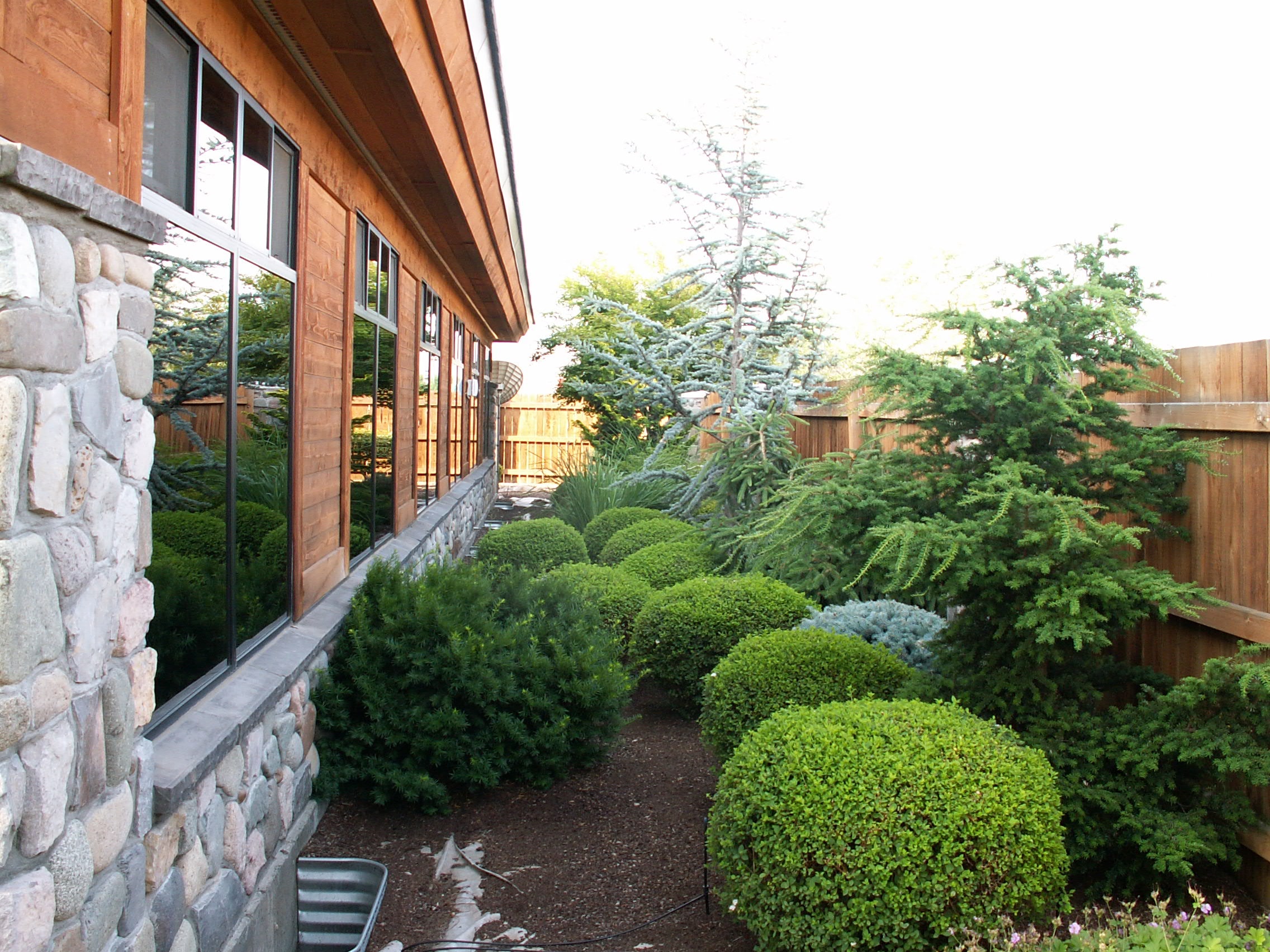 Yakima Family Dental BORARCH