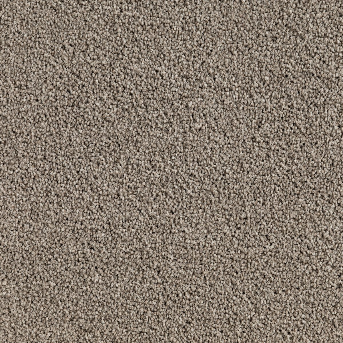 Metropol Wodonga Border Carpets