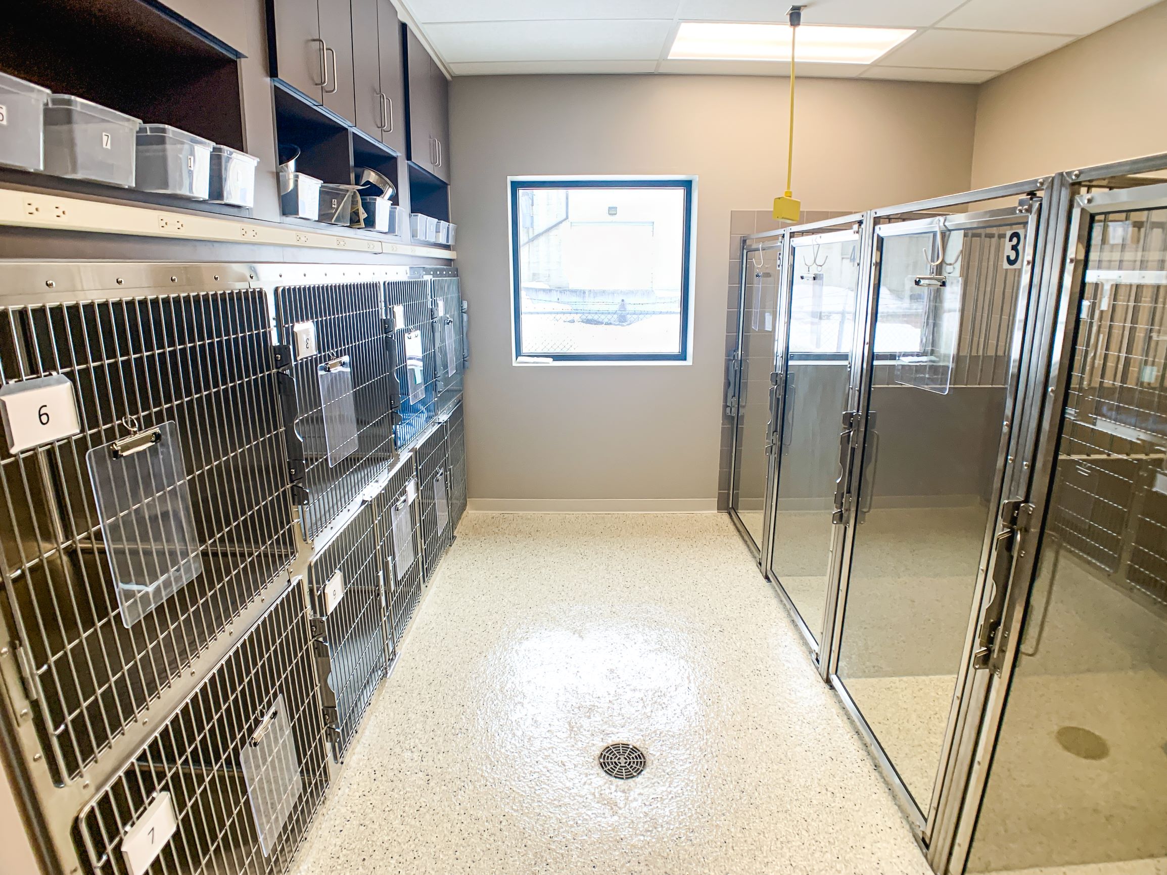 Valley Veterinary Hospital Border Construction