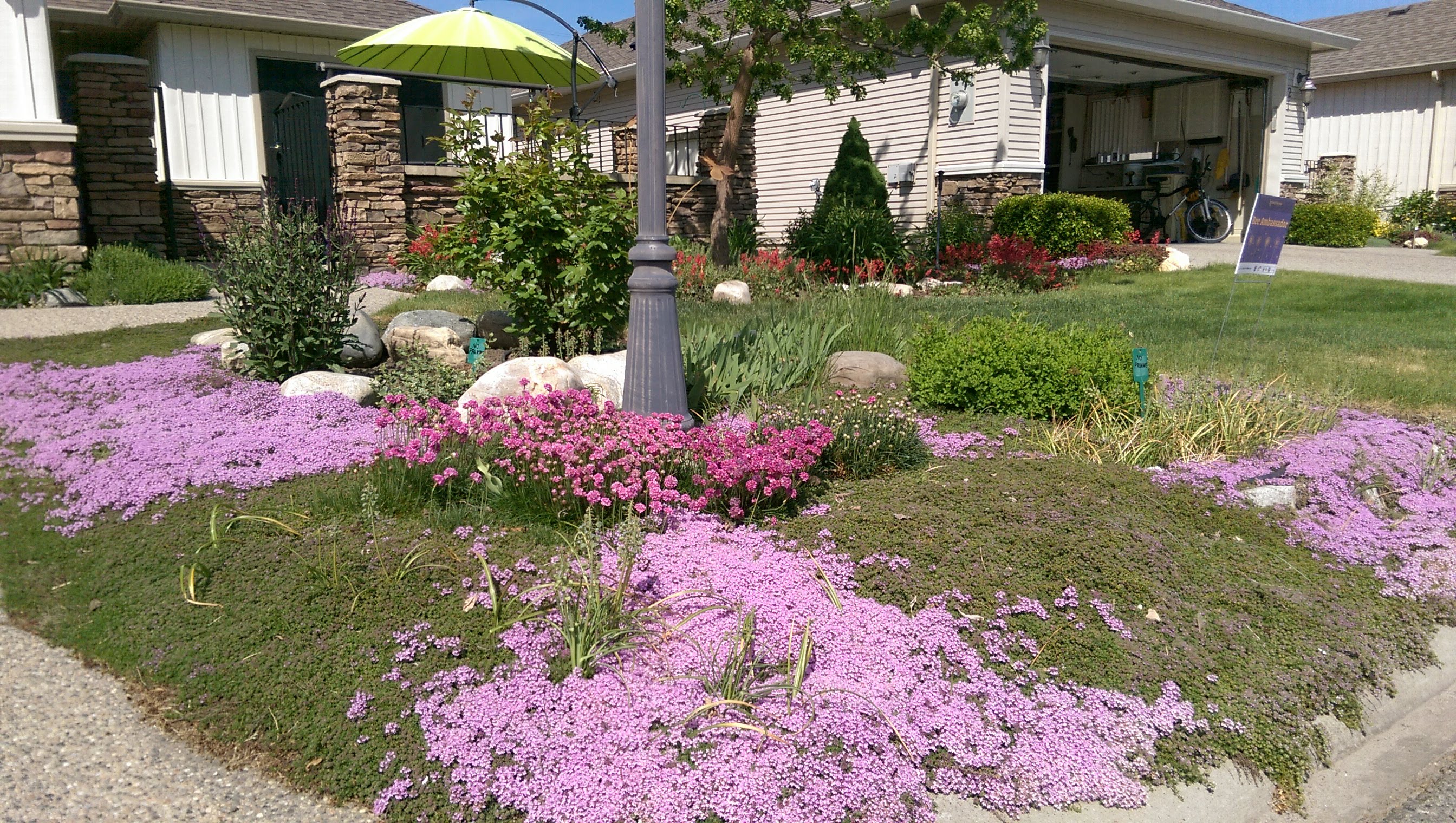 Kelowna Bee Ambassador Project Border Free Bees