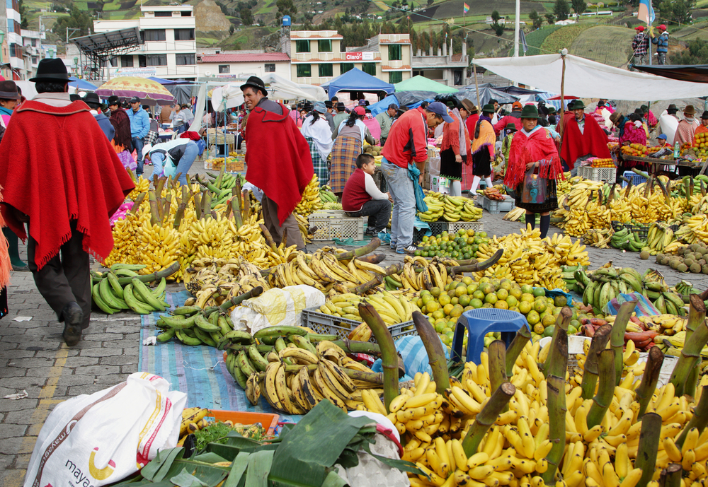 Spanish and French MEPs battle potential surge of Ecuador banana imports