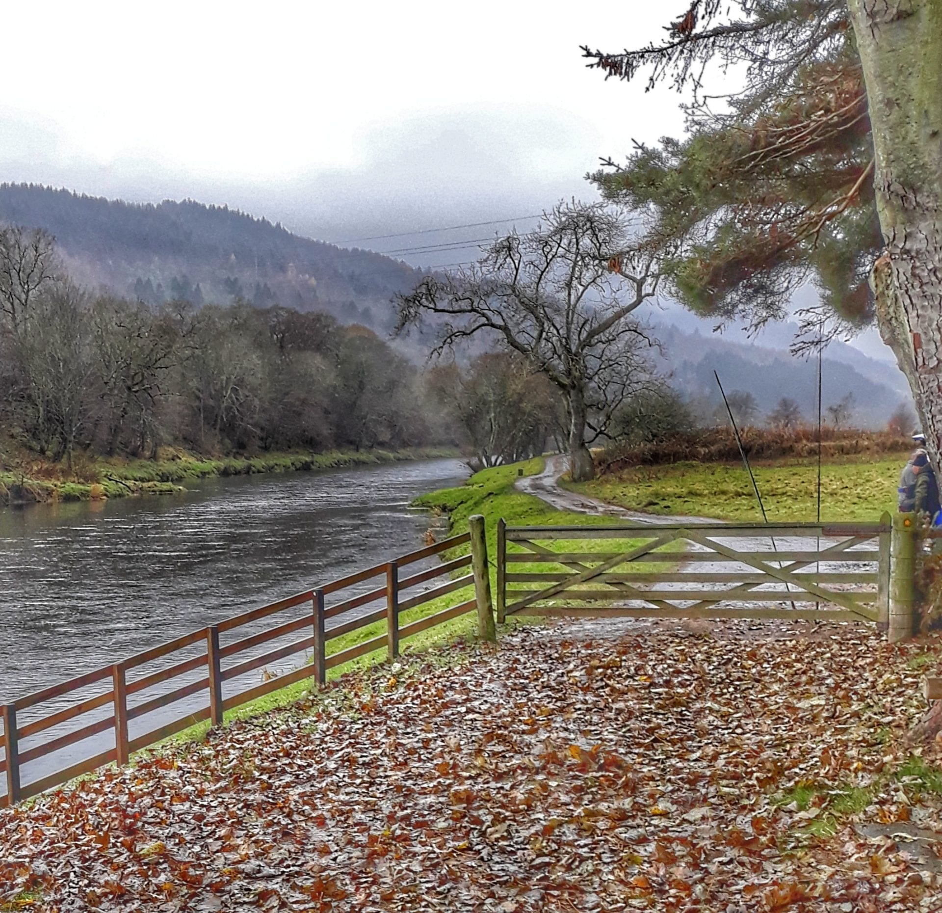 Scottish Borders Walks Borders.co.uk