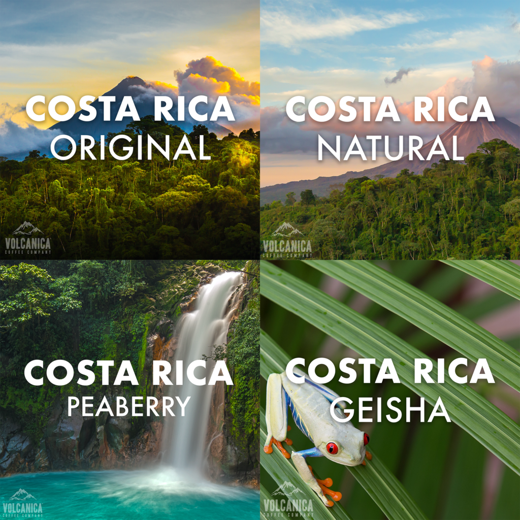 Costa Rican Coffee Gift Box from Volcanica Coffee