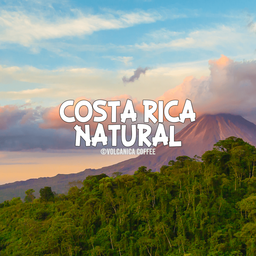 Costa Rica Natural Coffee, Natural Process from Volcanica Coffee