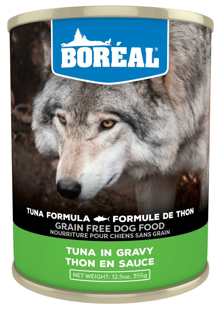 Are Dogs Allowed Tuna