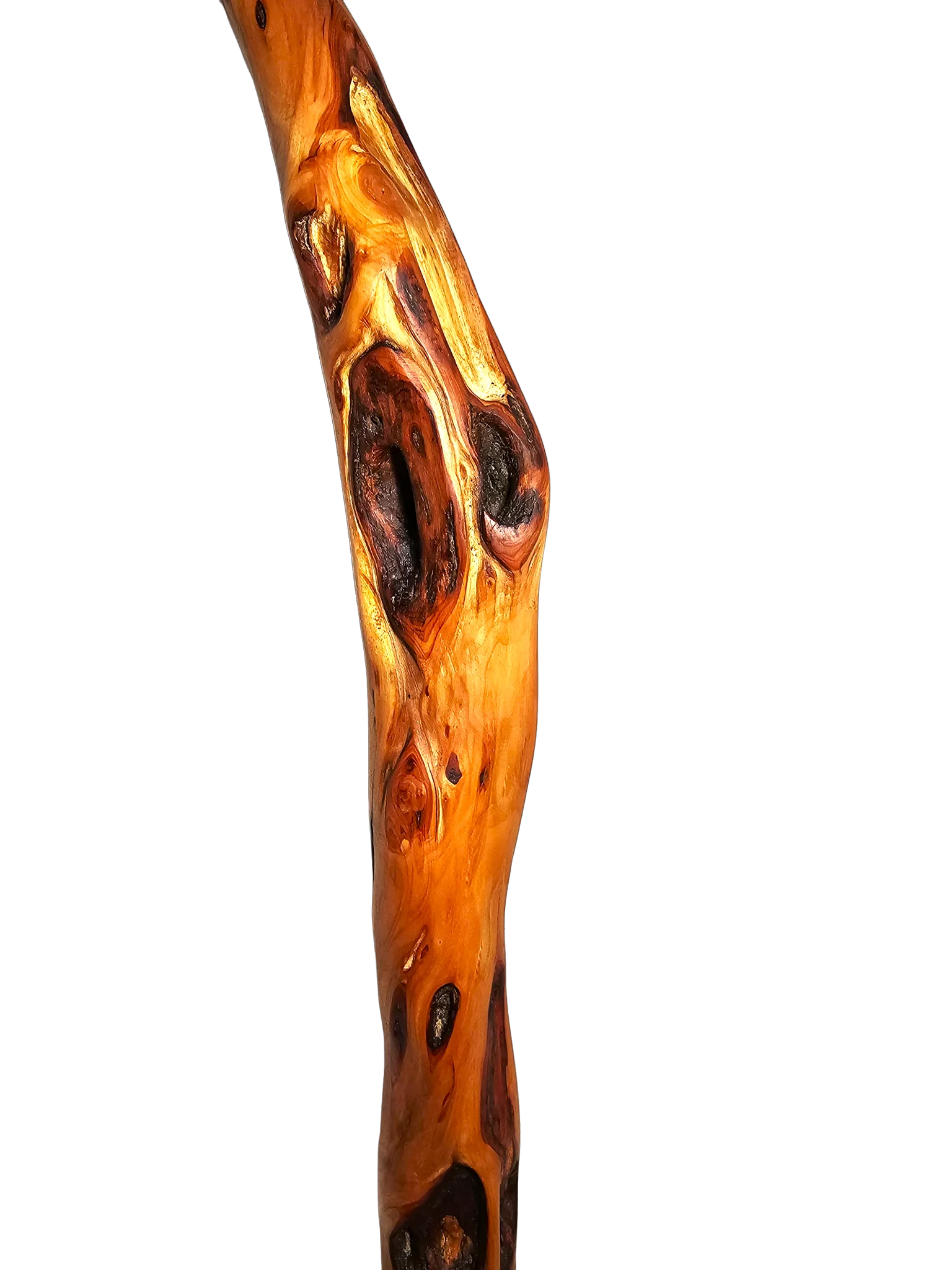 Handcrafted Diamond Willow Hiking Sticks Boreal Blue Wild Goods