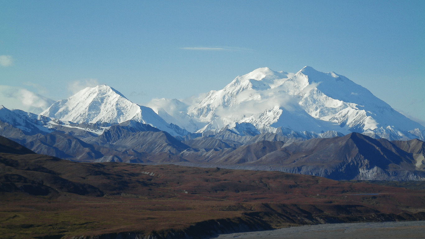 The Best Wildlife Viewing in Denali National Park Borealis Outdoors