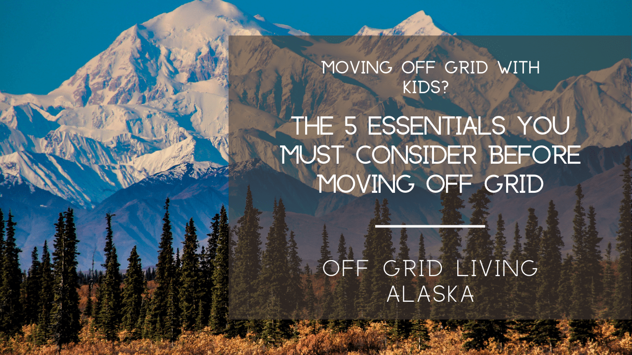 OffGrid Life 5 Survival Essentials You Need to Thrive