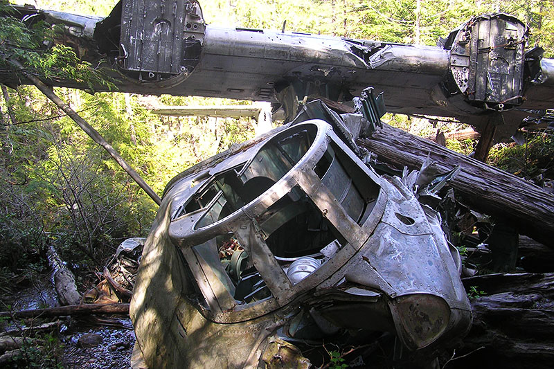Tofino Plane Crash Hike Bored in Vancouver