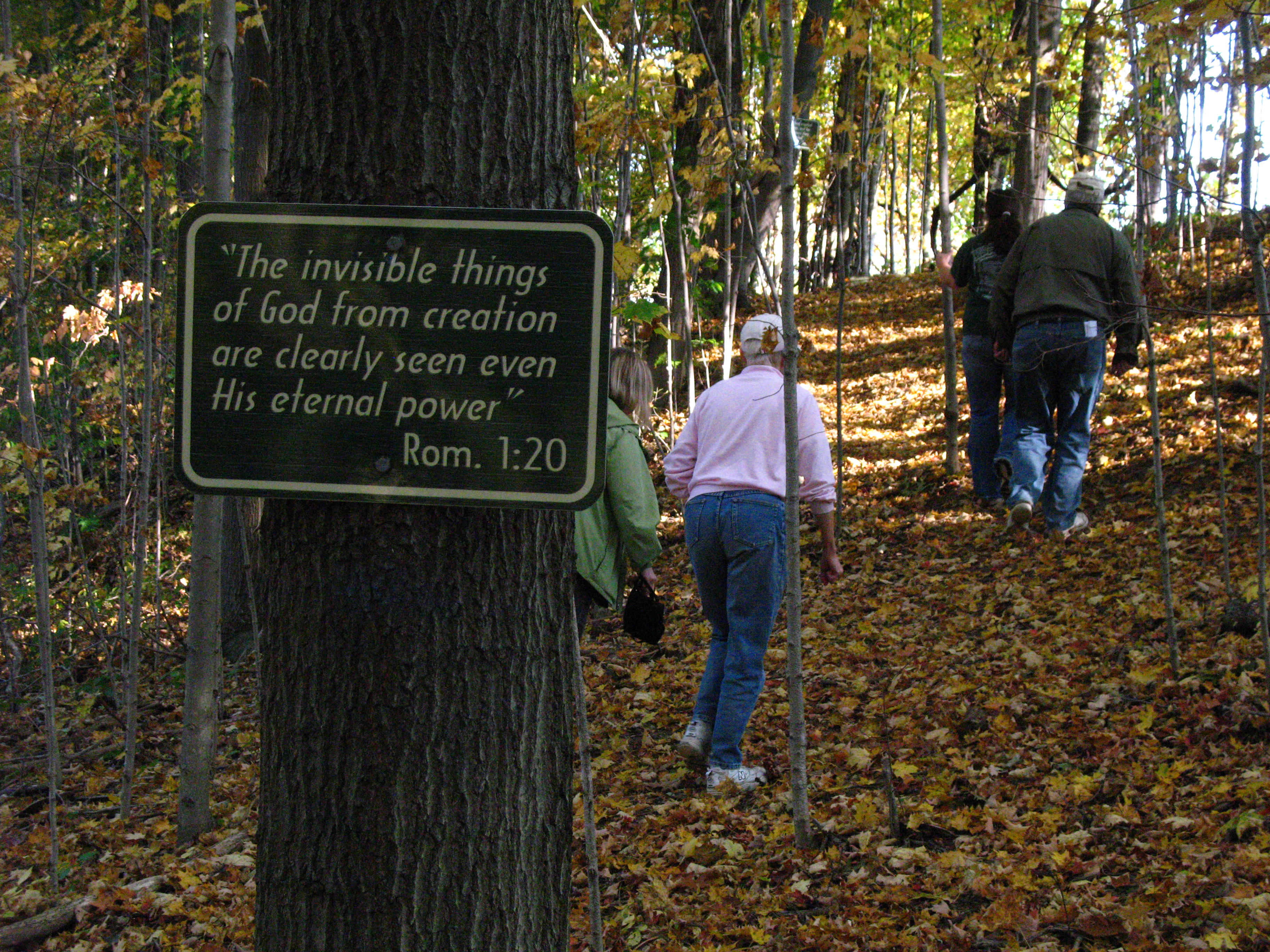 New Nature Trail Creation Walk Marilla, NY