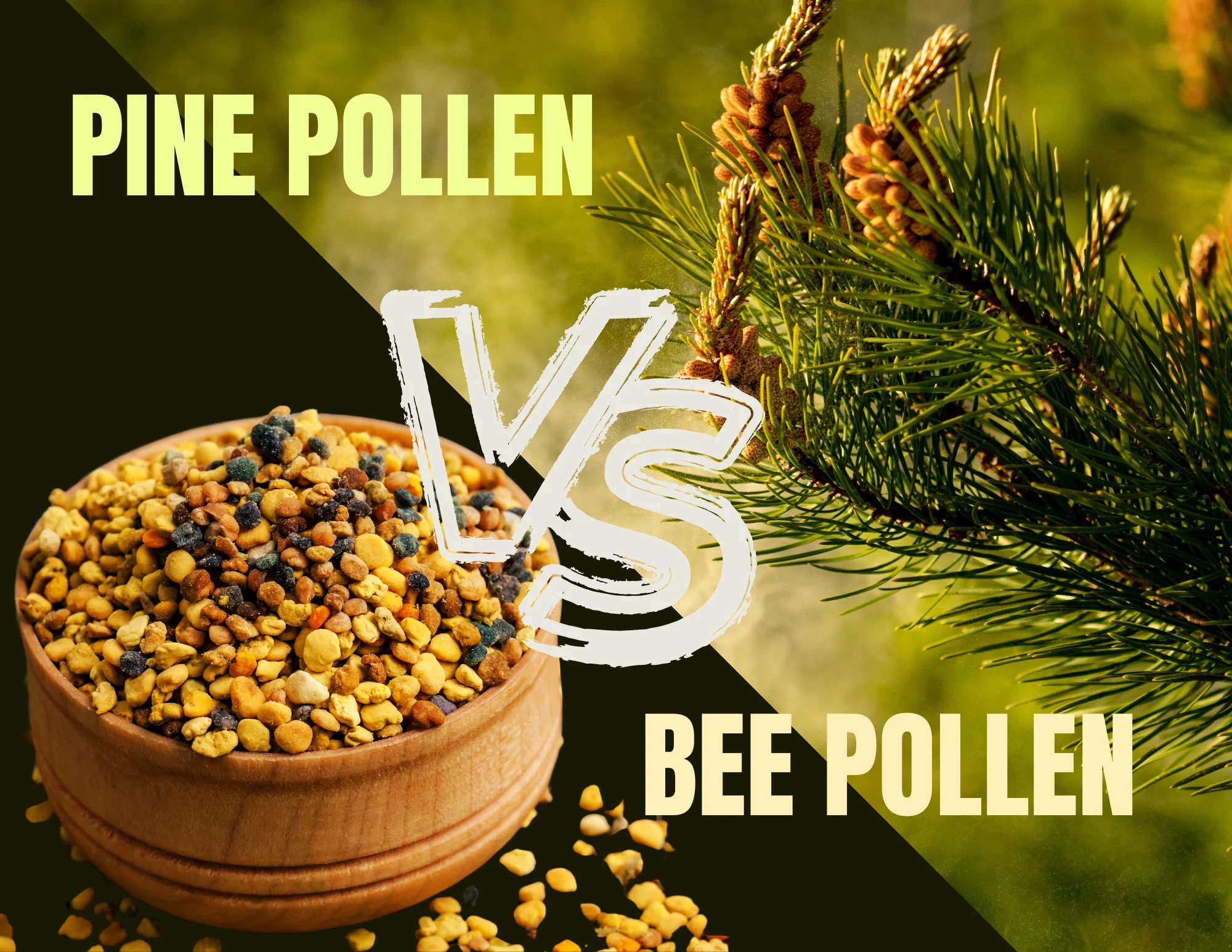 Pine Pollen vs. Bee Pollen Understanding the Differences and Benefits