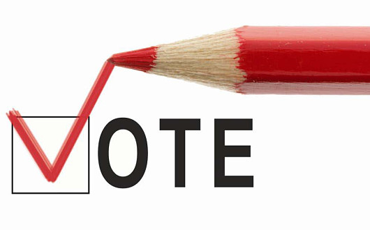 10 Facts on Why Voting is Important The Project