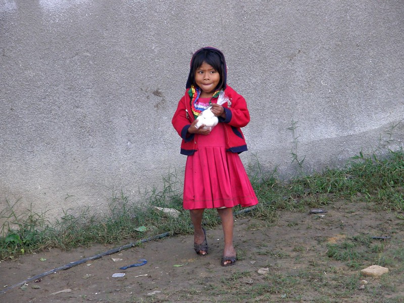 All You Need to Know About Poverty in Mexico LaptrinhX / News