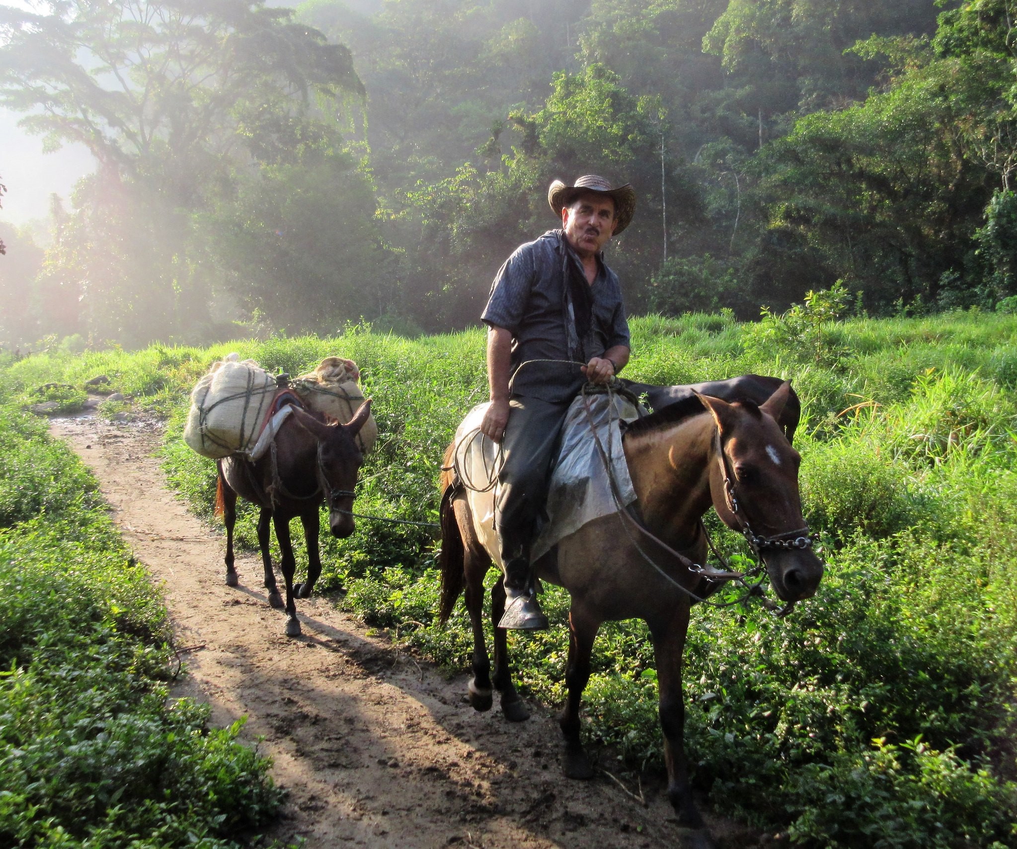 Colombia’s New Tax Plan Sparks Protests The Project