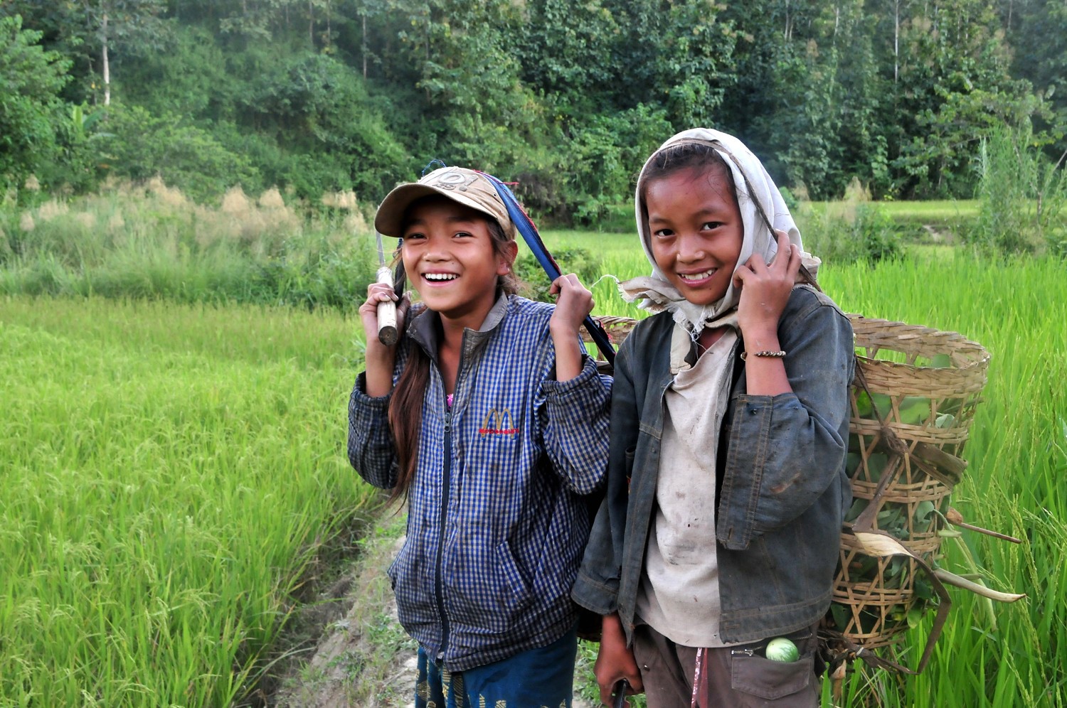 Laos’ Development Into A Digital Economy The Project