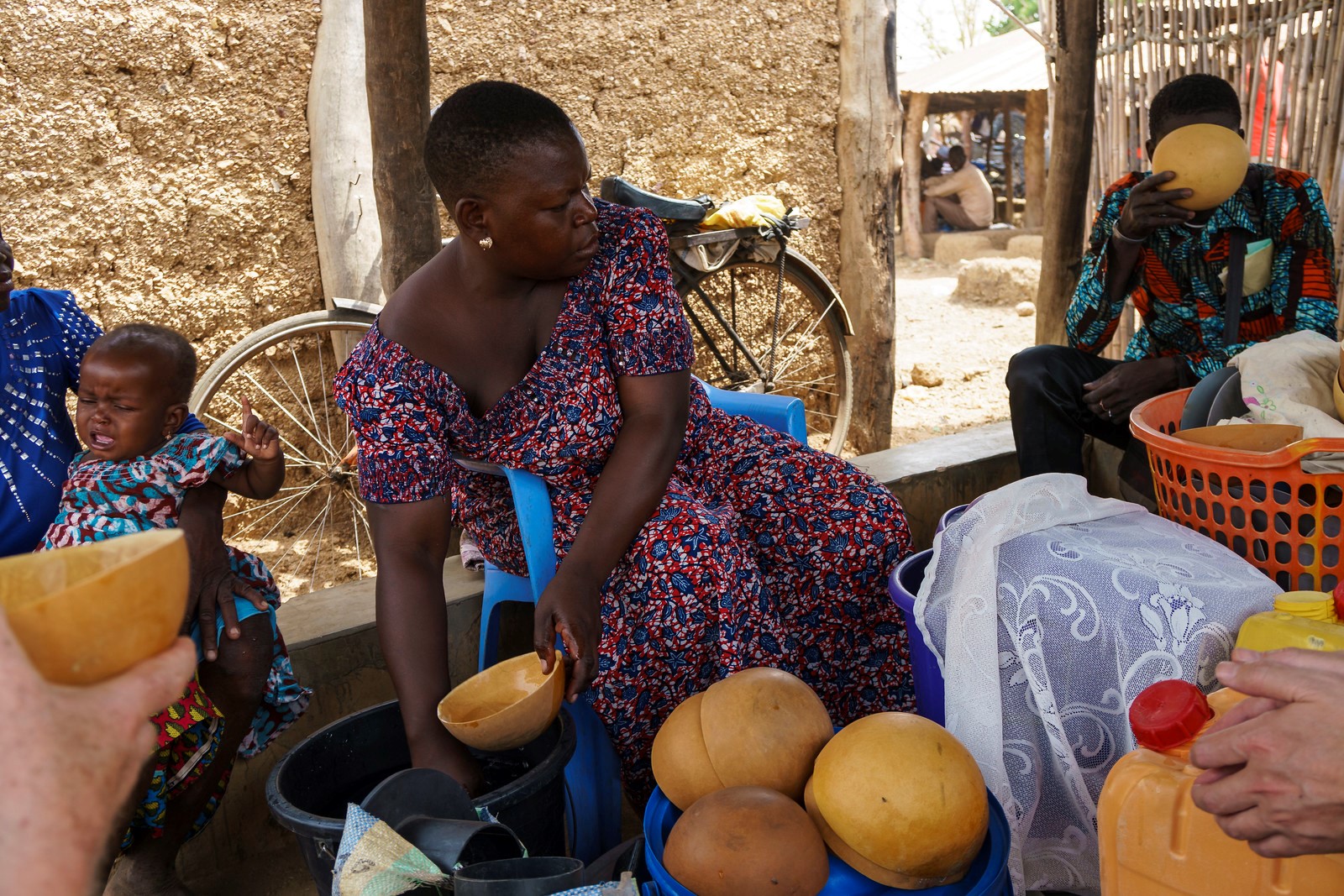 The Fight Against Hunger in Togo The Project