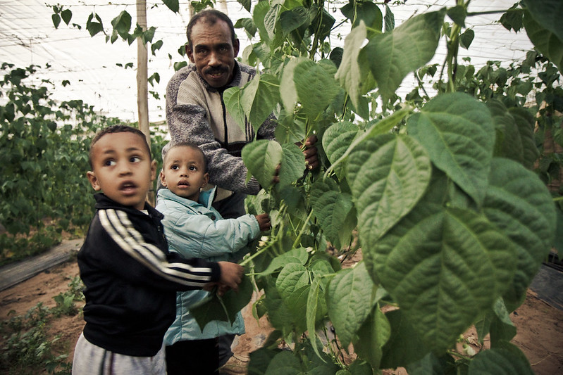 Children in Morocco are Breaking Cyclical Poverty The Project