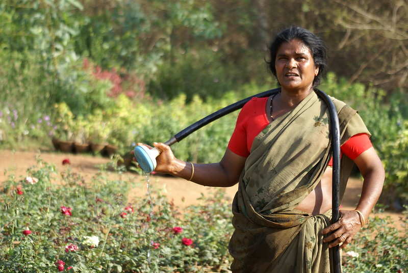 CoOwnership Rights for Women in Uttarakhand, India The Project
