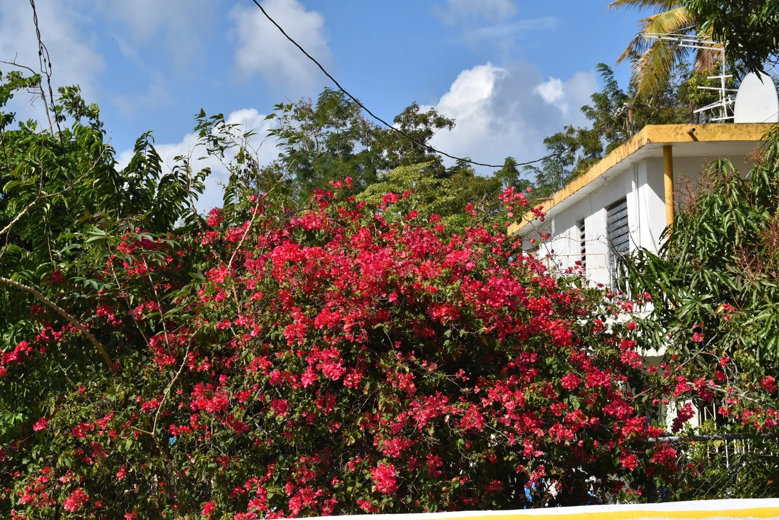 Puerto Rico Real Estate Homes for Sale in Puerto Rico