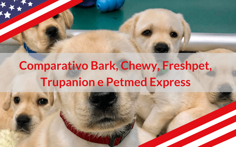 Comparativo Bark, Chewy, Freshpet, Trupanion e Petmed Express