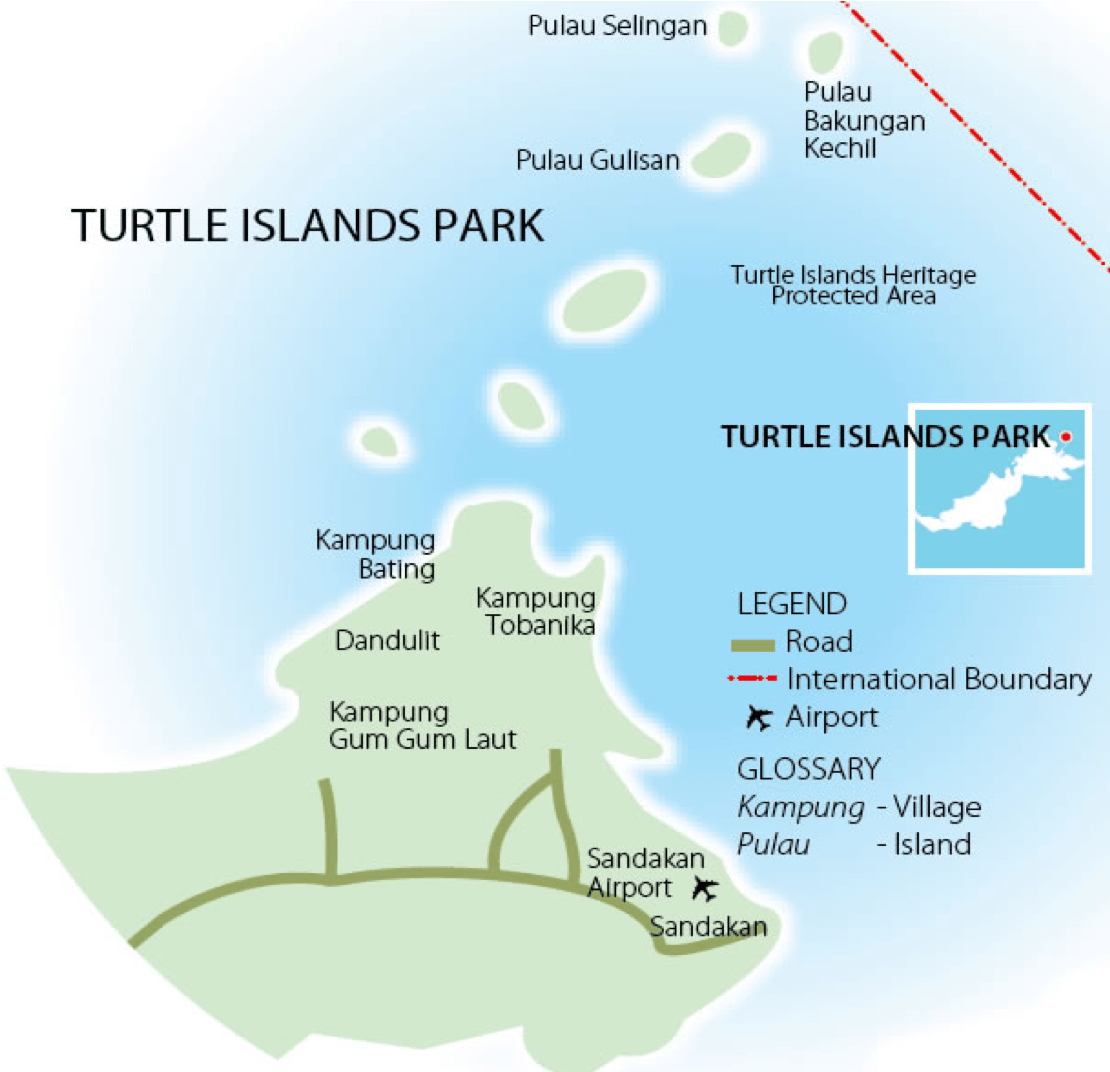 Borneo Turtle CallSelingan Island Borneo Calling