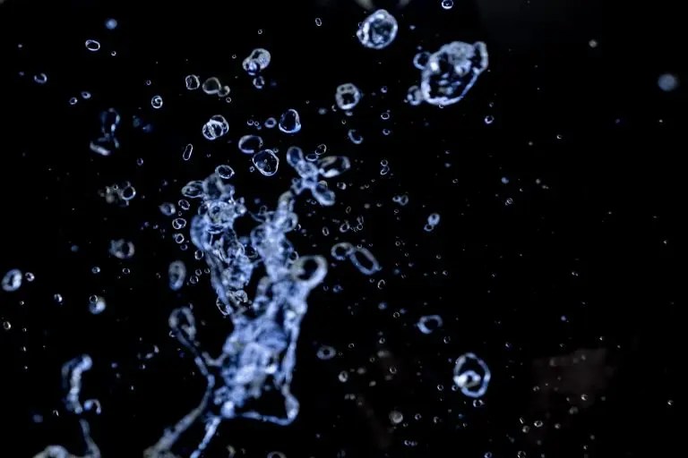 Tips On How To Get Rid Of Bubbles In Fish Tank Born For Pets