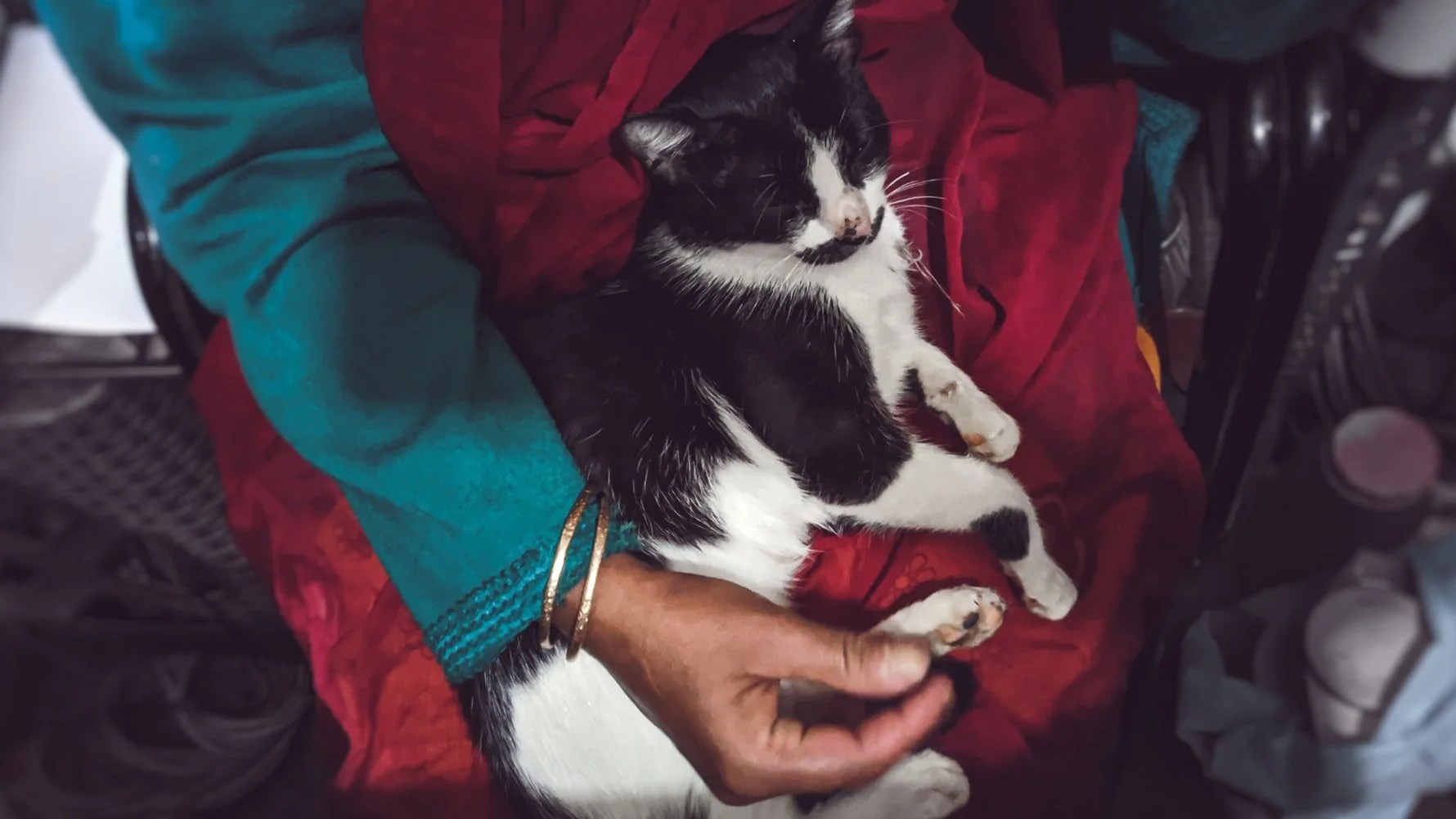 Tips On How To Keep Cat From Under Recliner? Born For Pets